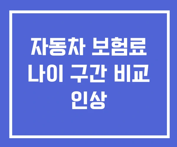 자동차 보험료 나이 구간 비교 인상