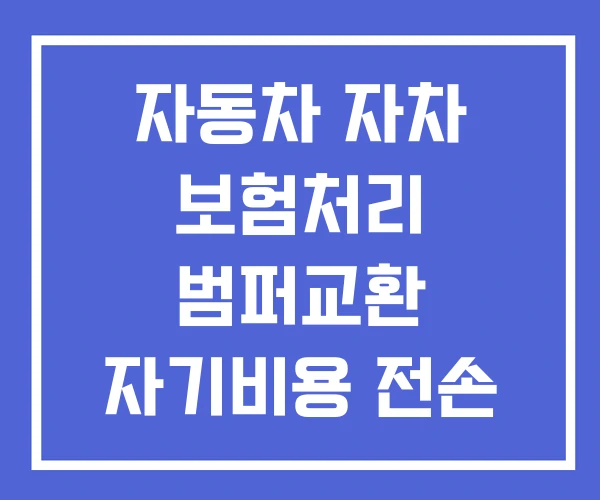 자동차 자차 보험처리 범퍼교환 자기비용 전손 자동차보험