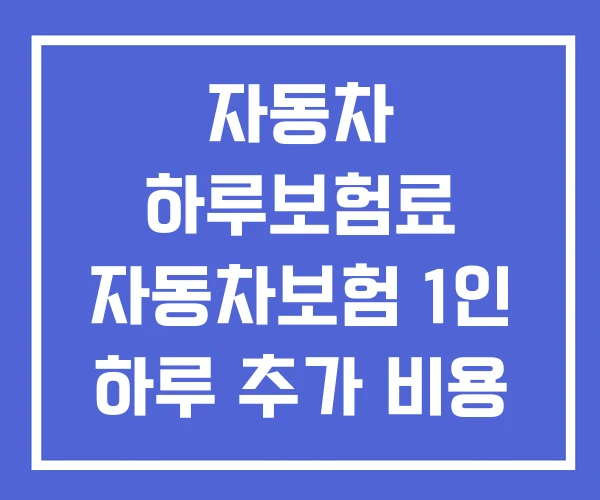 자동차 하루보험료 자동차보험 1인 하루 추가 비용 하루가입