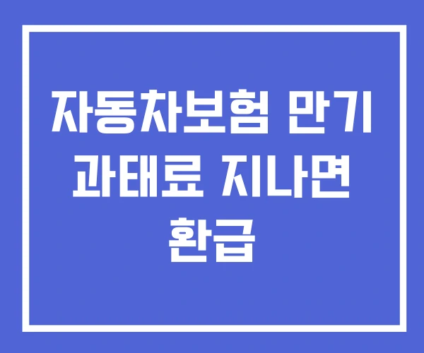 자동차보험 만기 과태료 지나면 환급