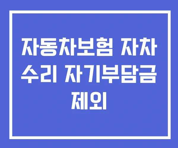 자동차보험 자차 수리 자기부담금 제외