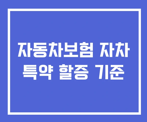 자동차보험 자차 특약 할증 기준
