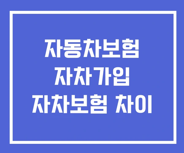 자동차보험 자차가입 자차보험 차이