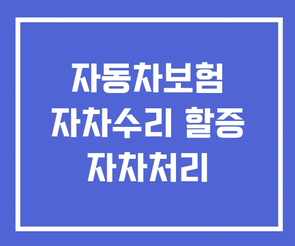 자동차보험 자차수리 할증 자차처리