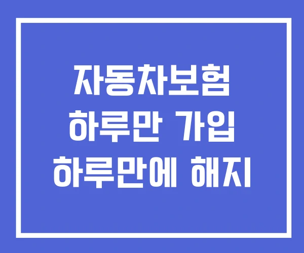 자동차보험 하루만 가입 하루만에 해지