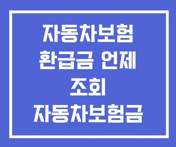 자동차보험 환급금 언제 조회 자동차보험금 환급
