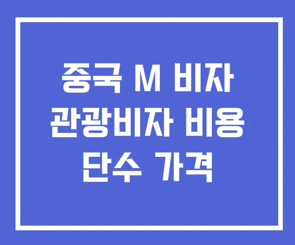 중국 M 비자 관광비자 비용 단수 가격