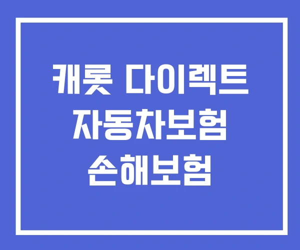 캐롯 다이렉트 자동차보험 손해보험