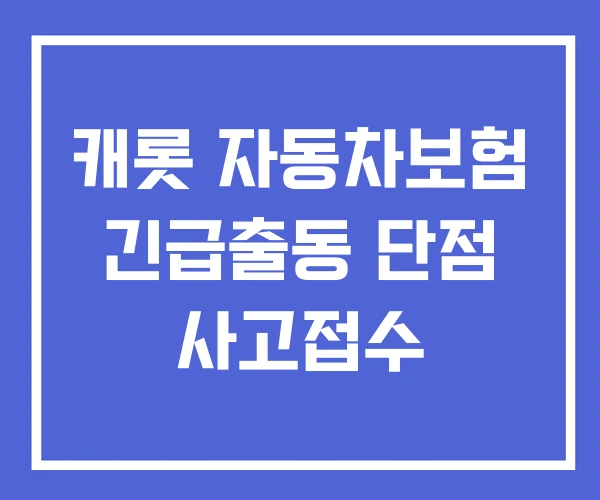 캐롯 자동차보험 긴급출동 단점 사고접수