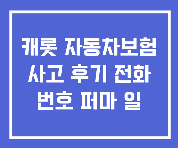캐롯 자동차보험 사고 후기 전화 번호 퍼마 일
