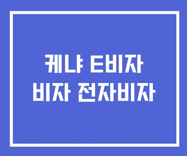 케냐 E비자 비자 전자비자