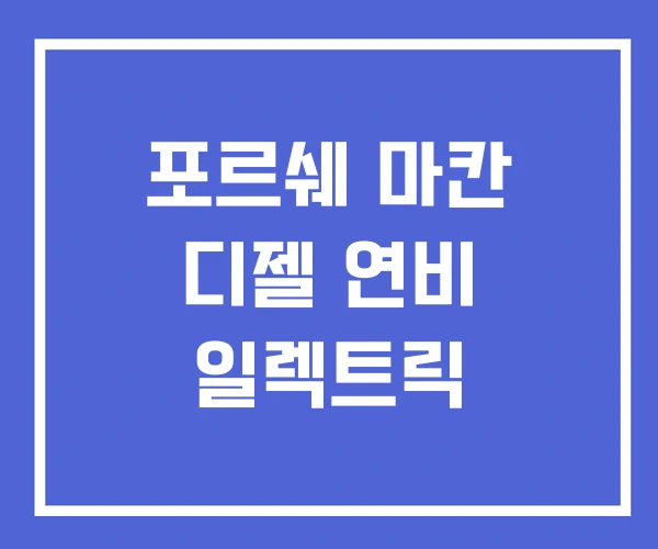 포르쉐 마칸 디젤 연비 일렉트릭