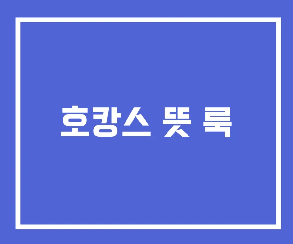 호캉스 뜻 룩