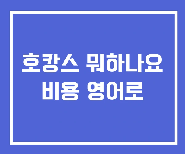 호캉스 뭐하나요 비용 영어로