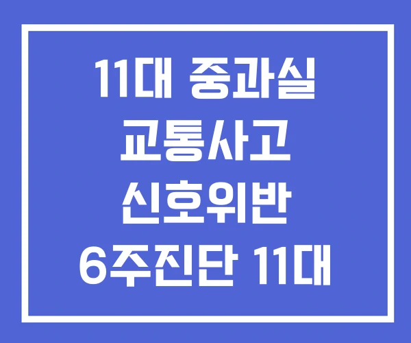 11대 중과실 교통사고 신호위반 6주진단 11대 중과실