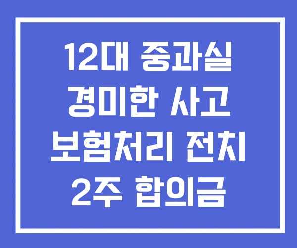 12대 중과실 경미한 사고 보험처리 전치 2주 합의금 12대 중과실 경미한 사고 보험처리 전치 2주 합의금