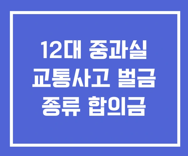 12대 중과실 교통사고 벌금 종류 합의금