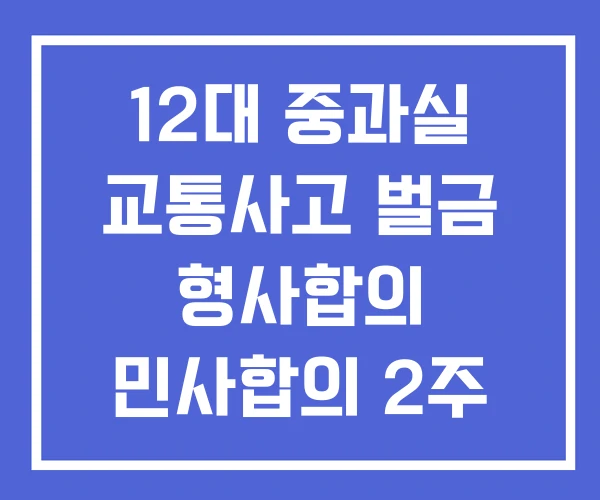 12대 중과실 교통사고 벌금 형사합의 민사합의 2주 형사합의금 12대 중과실 교통사고 벌금 형사합의 민사합의 2주 형사합의금