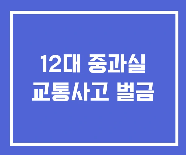 12대 중과실 교통사고 벌금 12대 중과실 교통사고 벌금