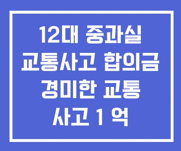 12대 중과실 교통사고 합의금 경미한 교통 사고 1 억 12대 중과실 교통사고 합의금 경미한 교통 사고 1 억
