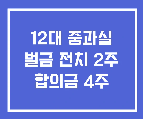 12대 중과실 벌금 전치 2주 합의금 4주 12대 중과실 벌금 전치 2주 합의금 4주