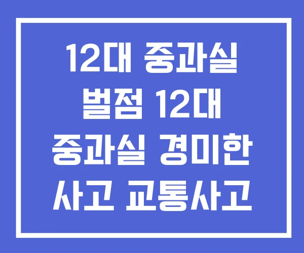 12대 중과실 벌점 12대 중과실 경미한 사고 교통사고 종류