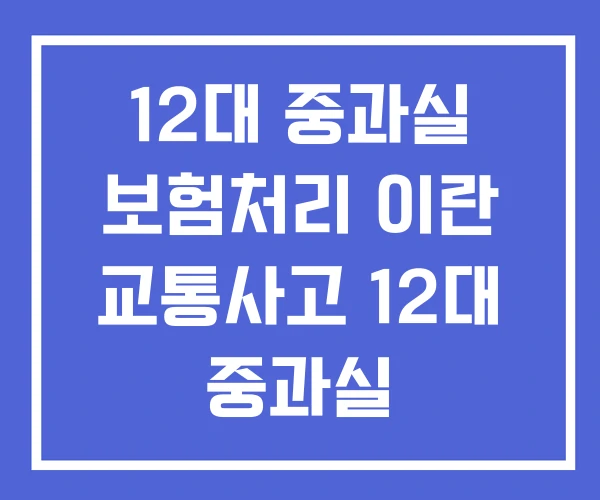 12대 중과실 보험처리 이란 교통사고 12대 중과실 12대 중과실 보험처리 이란 교통사고 12대 중과실