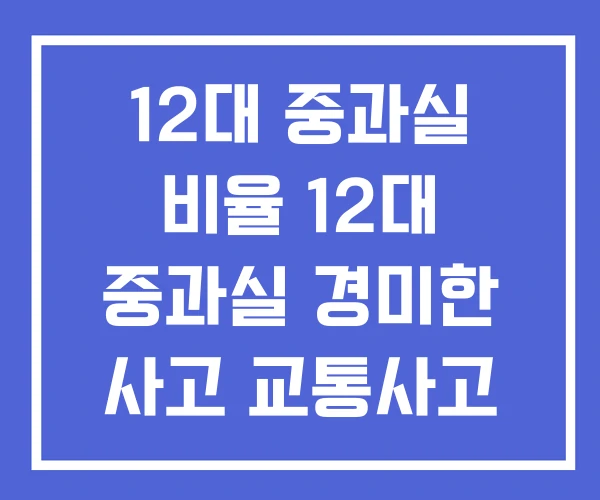 12대 중과실 비율 12대 중과실 경미한 사고 교통사고 12대 중과실 비율 12대 중과실 경미한 사고 교통사고