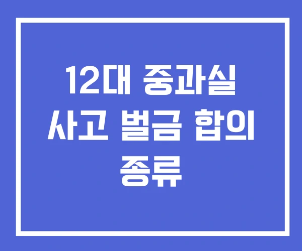 12대 중과실 사고 벌금 합의 종류