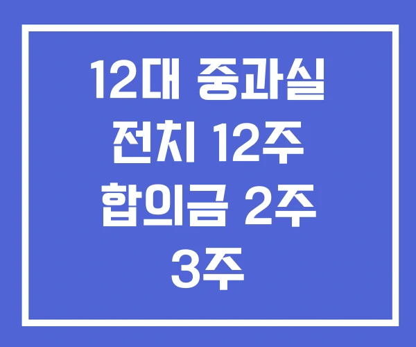 12대 중과실 전치 12주 합의금 2주 3주
