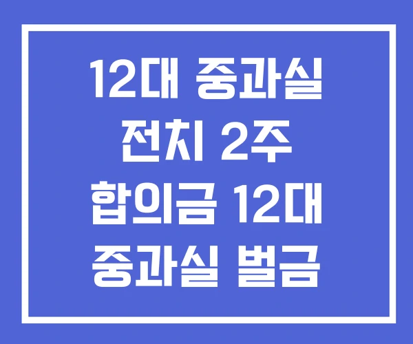12대 중과실 전치 2주 합의금 12대 중과실 벌금 종류 12대 중과실 전치 2주 합의금 12대 중과실 벌금 종류