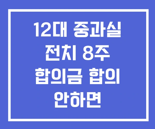 12대 중과실 전치 8주 합의금 합의 안하면 12대 중과실 전치 8주 합의금 합의 안하면