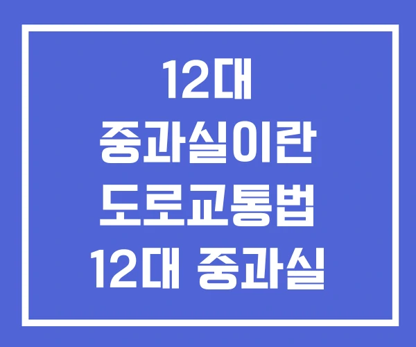12대 중과실이란 도로교통법 12대 중과실 운전자보험 12대 중과실이란 도로교통법 12대 중과실 운전자보험