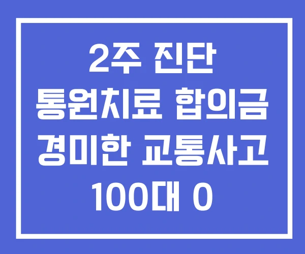 2주 진단 통원치료 합의금 경미한 교통사고 100대 0 2주 진단 통원치료 합의금 경미한 교통사고 100대 0