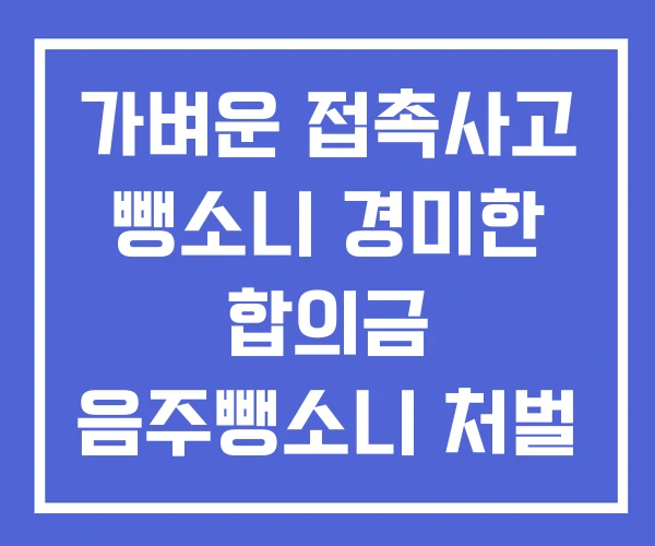 가벼운 접촉사고 뺑소니 경미한 합의금 음주뺑소니 처벌 가벼운 접촉사고 뺑소니 경미한 합의금 음주뺑소니 처벌