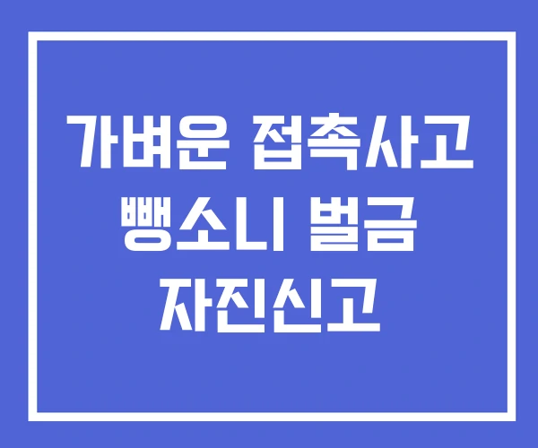 가벼운 접촉사고 뺑소니 벌금 자진신고
