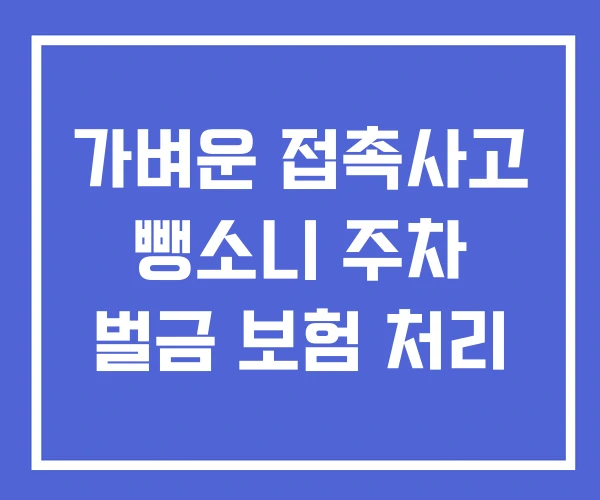 가벼운 접촉사고 뺑소니 주차 벌금 보험 처리
