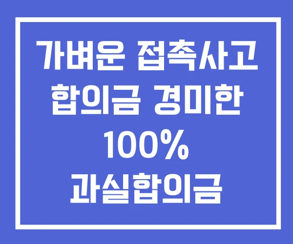 가벼운 접촉사고 합의금 경미한 100% 과실합의금