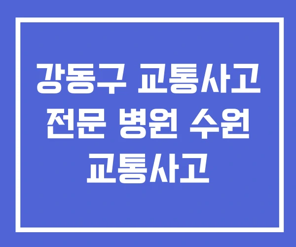 강동구 교통사고 전문 병원 수원 교통사고 강동구 교통사고 전문 병원 수원 교통사고