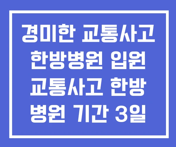 경미한 교통사고 한방병원 입원 교통사고 한방 병원 기간 3일 합의금 경미한 교통사고 한방병원 입원 교통사고 한방 병원 기간 3일 합의금