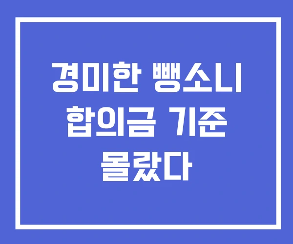 경미한 뺑소니 합의금 기준 몰랐다