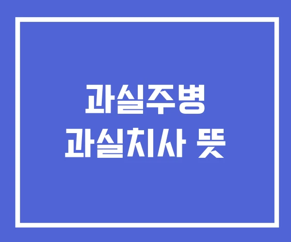 과실주병 과실치사 뜻 과실주병 과실치사 뜻