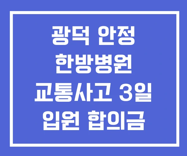 광덕 안정 한방병원 교통사고 3일 입원 합의금