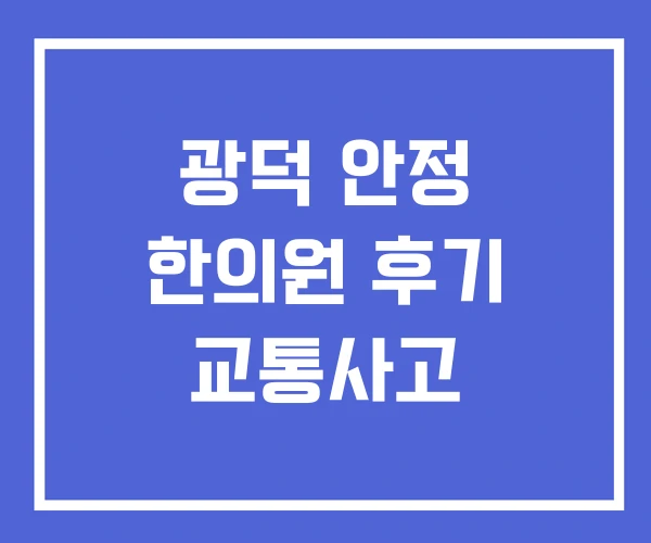 광덕 안정 한의원 후기 교통사고 광덕 안정 한의원 후기 교통사고