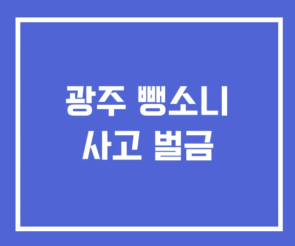 광주 뺑소니 사고 벌금