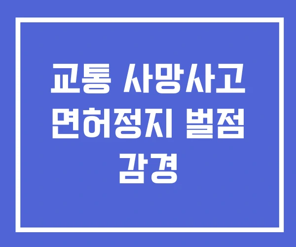 교통 사망사고 면허정지 벌점 감경 교통 사망사고 면허정지 벌점 감경