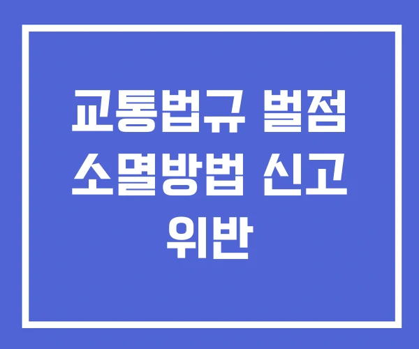 교통법규 벌점 소멸방법 신고 위반