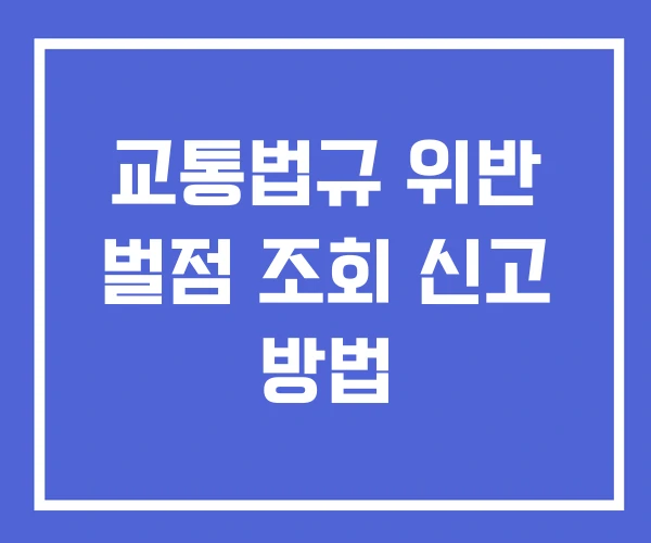 교통법규 위반 벌점 조회 신고 방법