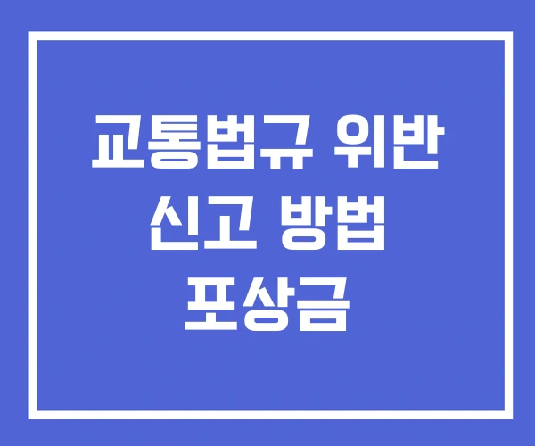 교통법규 위반 신고 방법 포상금