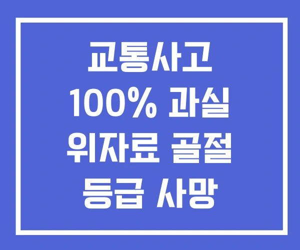 교통사고 100% 과실 위자료 골절 등급 사망
